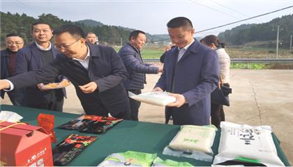 市委常委、政法委書(shū)記劉波濤帶隊(duì)調(diào)研指導(dǎo)定點(diǎn)幫扶村鄉(xiāng)村振興工作